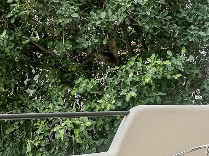 409FE55A1AA1BF2CE395322A542E9C9D