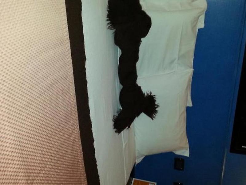 50C65CDC0ECB49DFABB81450CBEBD89D