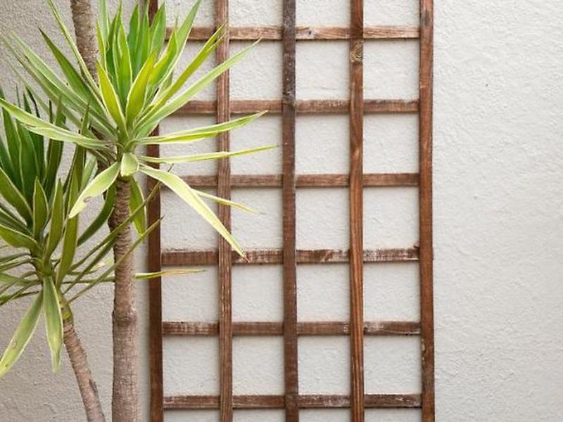 357BAA2F2C752F4C837A4679348174DE