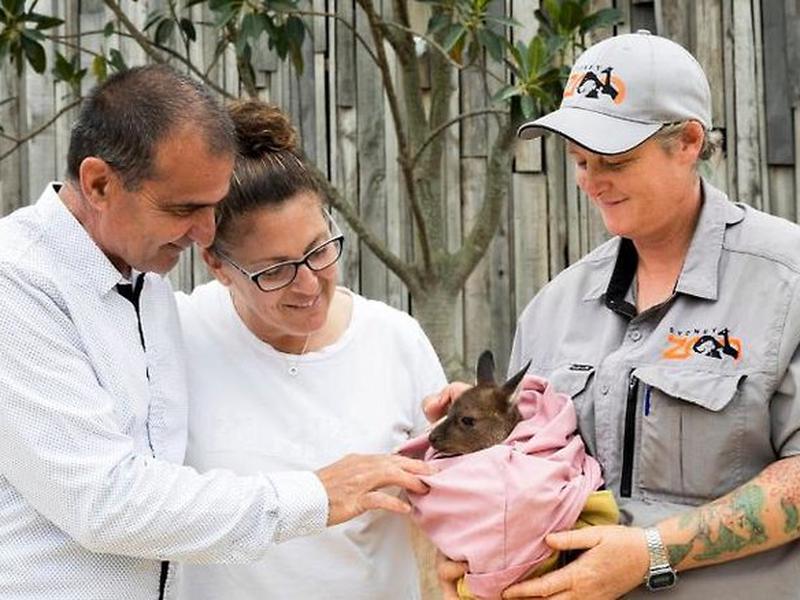 7229193DD59D34FC57C6705397D3083C