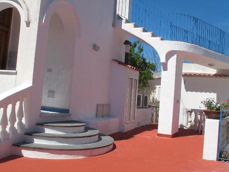 9C2D8B21E4C1EE63B41B1255BA88B486