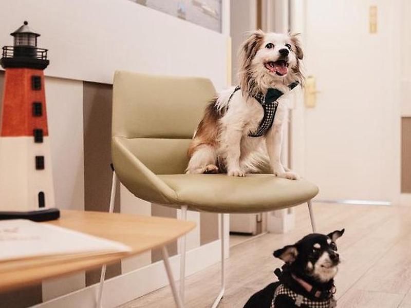 311EFB7B995CC35956646166A92B6D0B