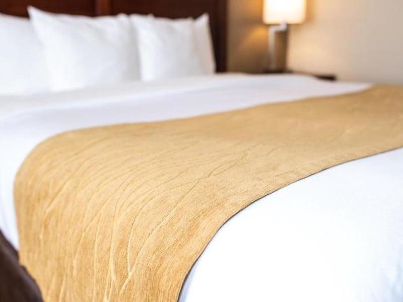 036B0D83C966F9E96ED2D9A1E8EDE959