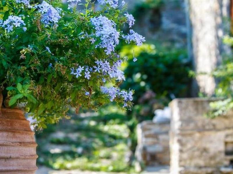 C1E8BF99BC92089CA48FD890907DFA5F