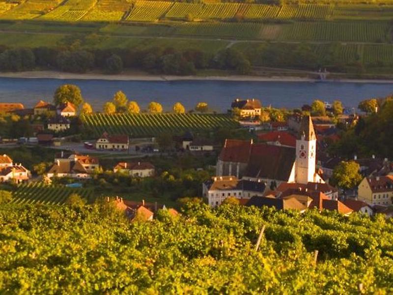 745DB25105C414B7B42EF390B7B529B9