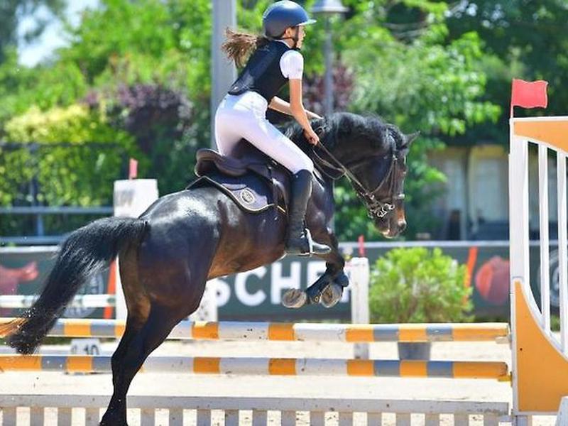 411413C7A0000E1285DFCDD46D15330C