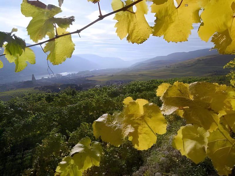 F97ED76C013BCDAF9107DE9DF630DAC4