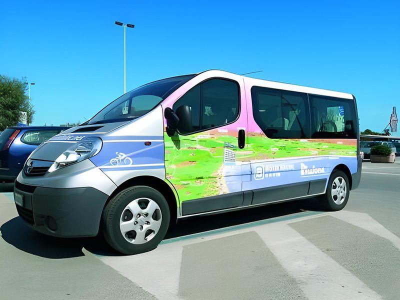 881F0C73D12D8CAD5DA2C0C6ED3E3D3A