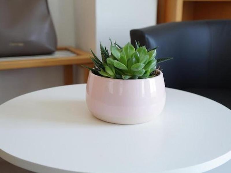 D56BEF2286DBCCB3974330D1DD841C3F