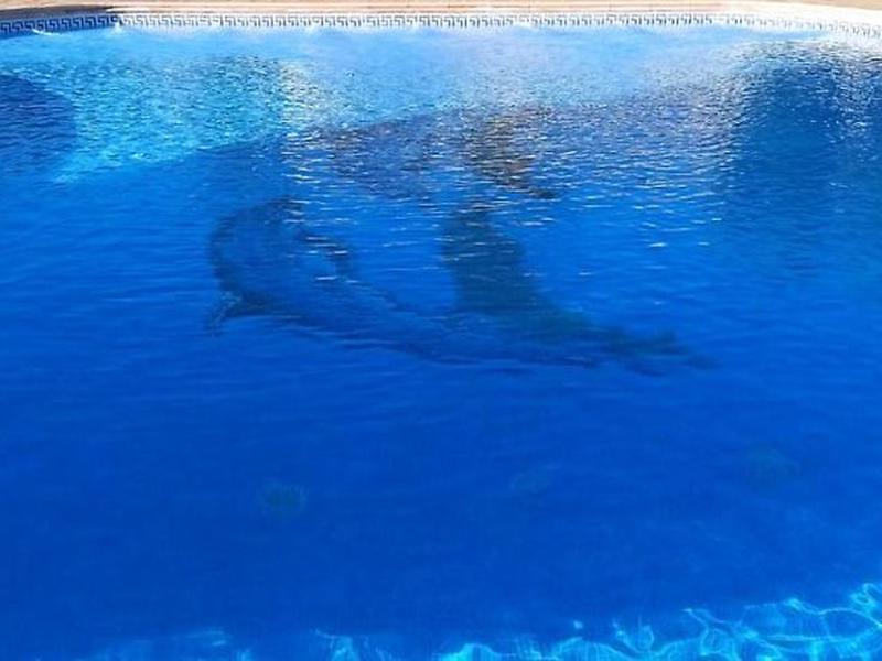 B8B9A4CBE2A7714D7C6A7ED9F68034EA