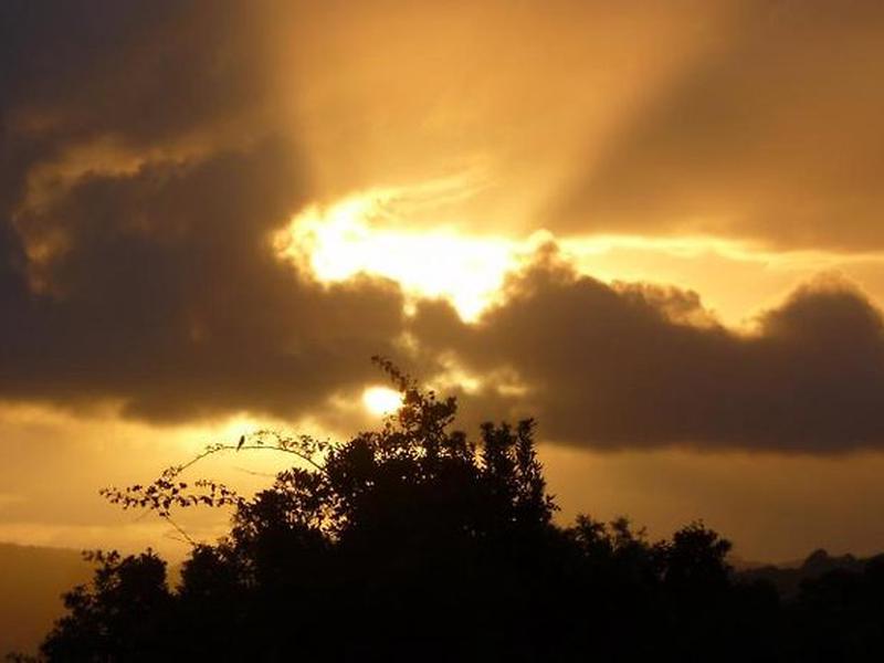 58580416624A6ED17DBB7E369AF07733