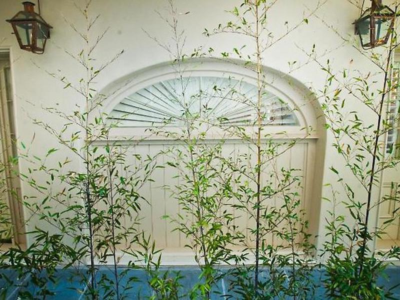 031405E6ADEC16B51B7FA631754E9E9D