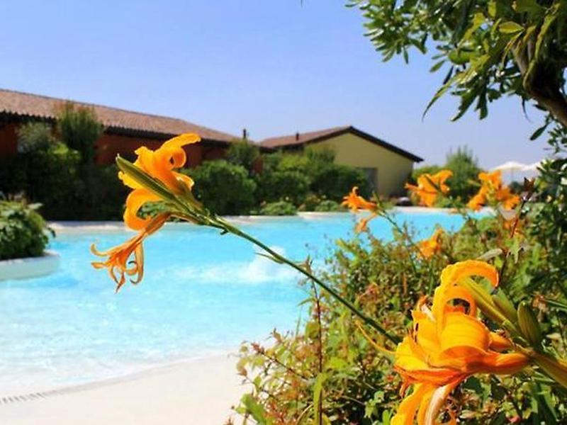 DC153632BA529AF330EDF849877BEACA