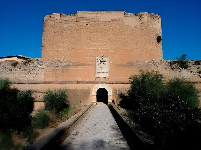 F99A82FAE1F3D04E7D36ED454F1FD7A6