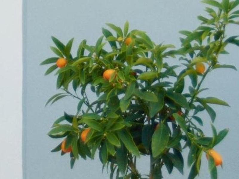 BA9BE4705CDA93715761DD531E843F00