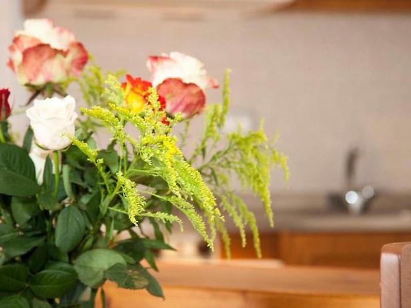 AD65FE1532CC635E06C337F5BEB209D1