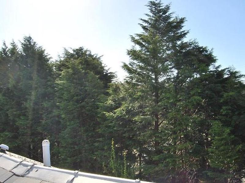 ECB469AC777DA2D7FECEA4739775491D