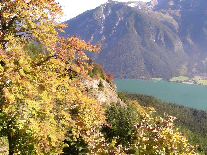 FB5E12B0AE1B0A33598C50DFBE9FCADE