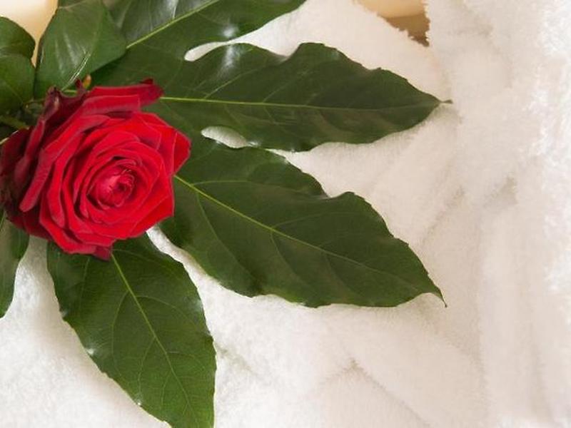 9B6F0FD124B9A8098424B30ACF26D262