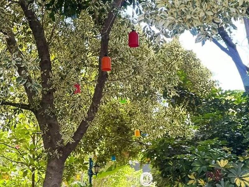 9F75E0E121ED888DDAC77B6492B4C889