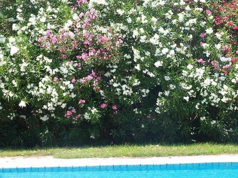 888E194C89BEE7F1CC1FF6C5A2C4CD3E