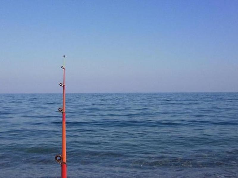 55EFA54D6AA9BF80CDC066155B3C76FA