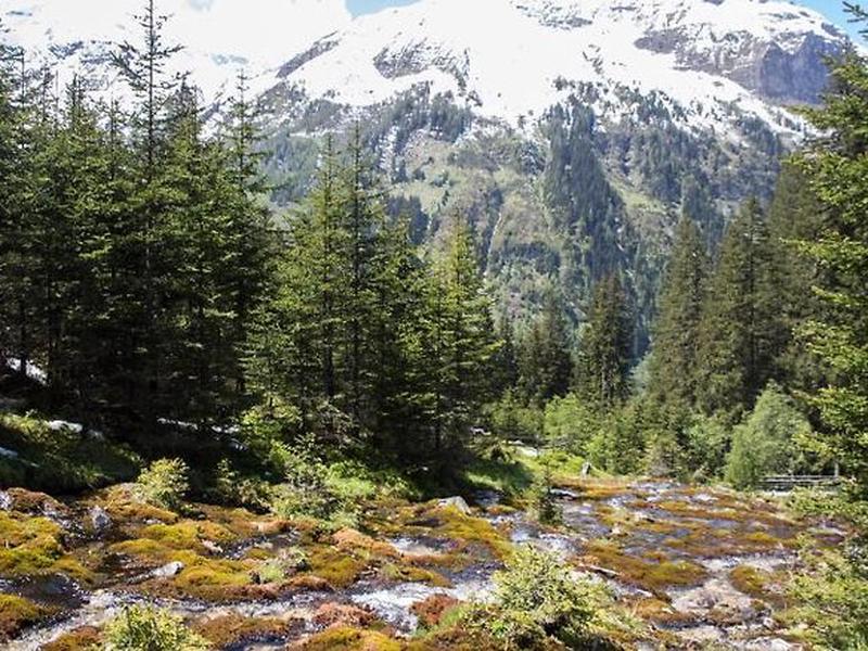 21B6D66E08267CA58E565473E0991CFB