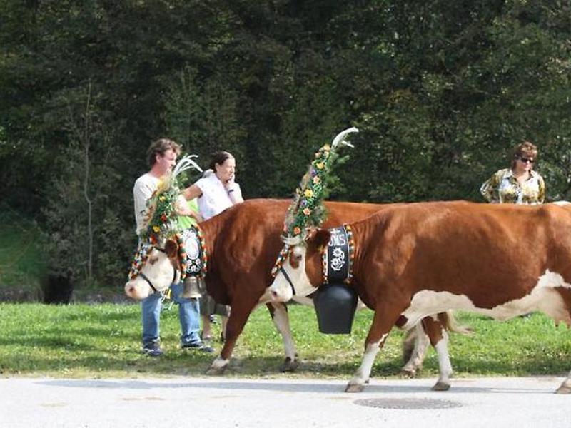 9080A3E58DEDDB2257A86C18D7CB800D