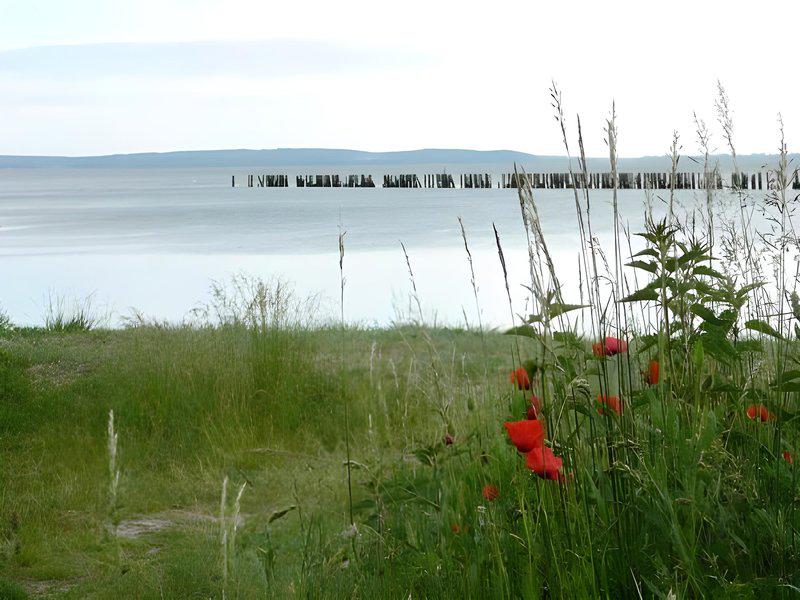 D41AB78FF9F3ECAECCDE7431A20A5E96