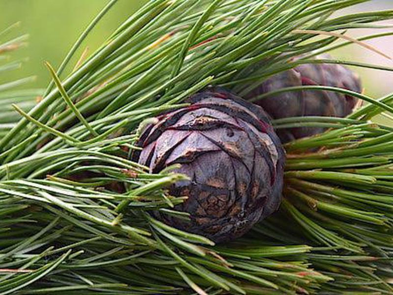 273EE030B858C2EFFB722393609CE734