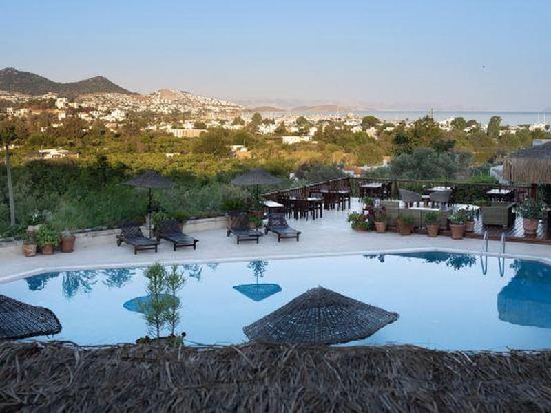 9ACB5D5AAC27781378501F060B5BC9D1