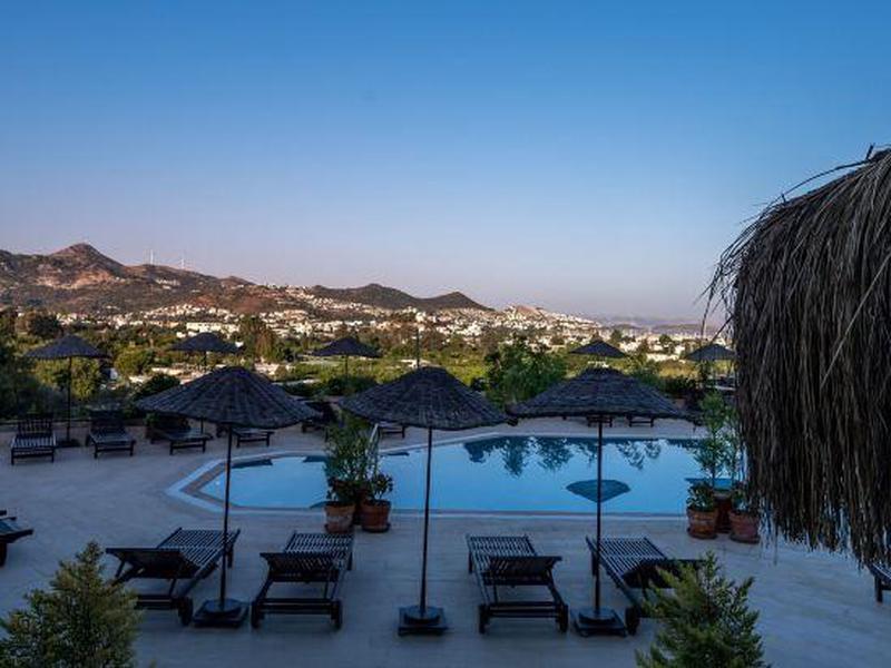 DCC25690F940AEBD62A239D1CBD407AF