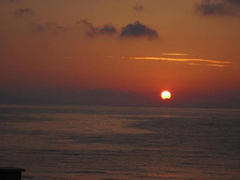 B0EDF2419606EE837389DED43B751229