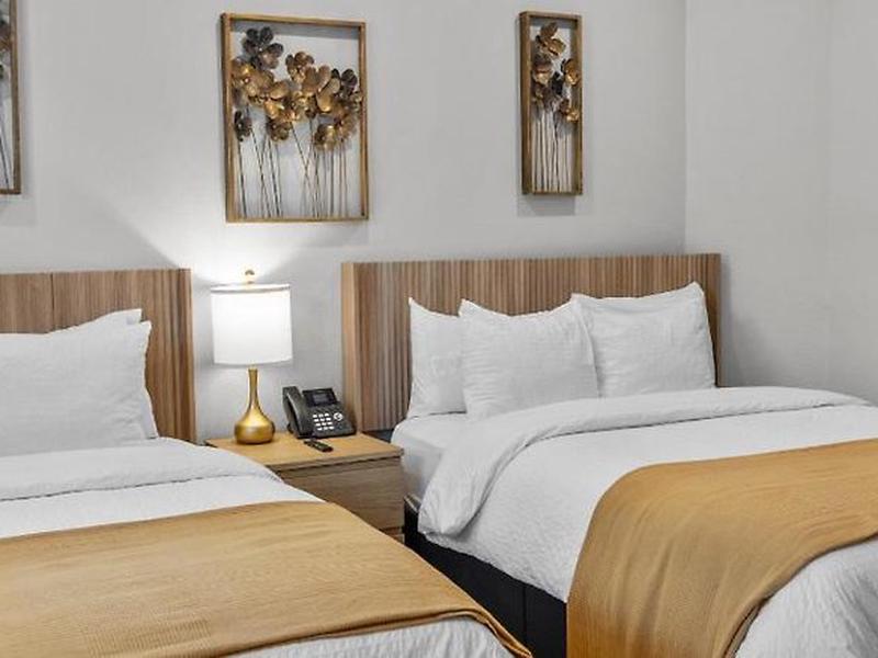 8A6E046F32584C15F3904C22E45ECD39