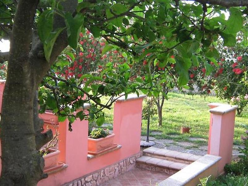 ECEBAE57509071BA921ED05806B01BFF