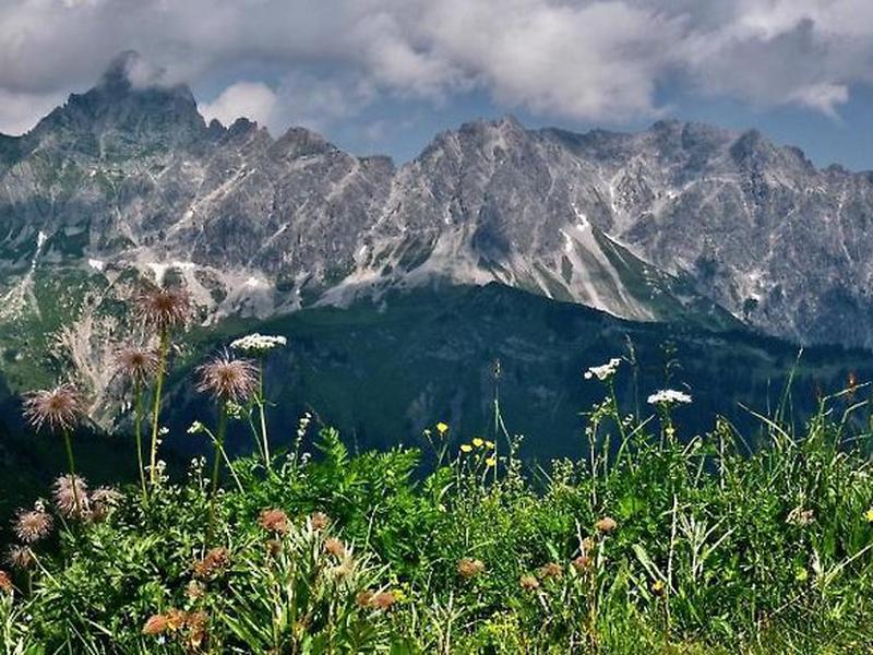 2F9C8295C485FBA29A64924BAA792008