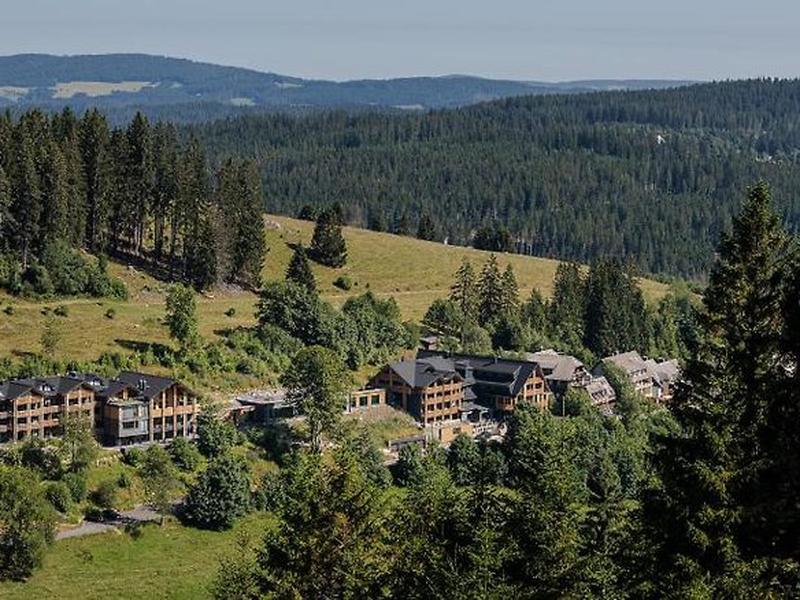 D5F893C8B35E159B484C1A168871A5D3