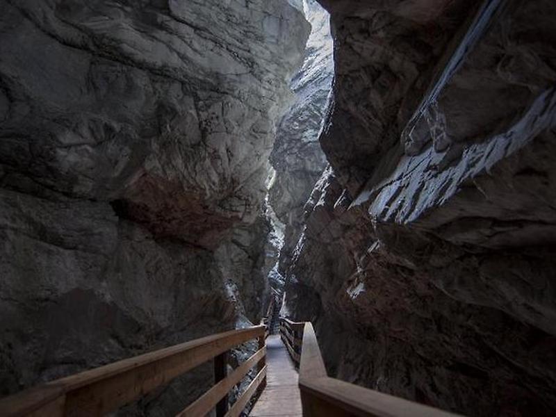 FE74C8B0742C42DD1D4A647B57699A92