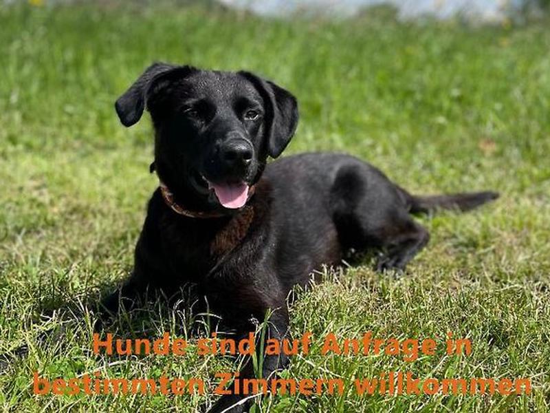 A13F2DD0C988527C2C010BBC80927AF2