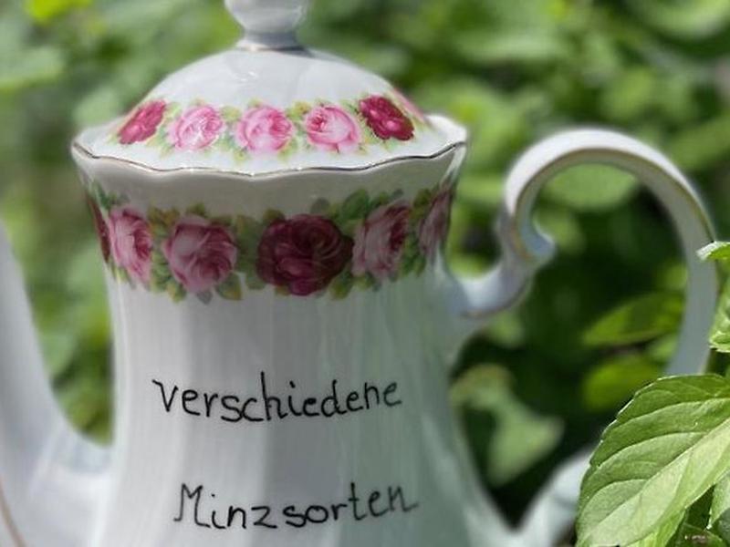 6F78B6DD35F2CBCC5351740668B5A849