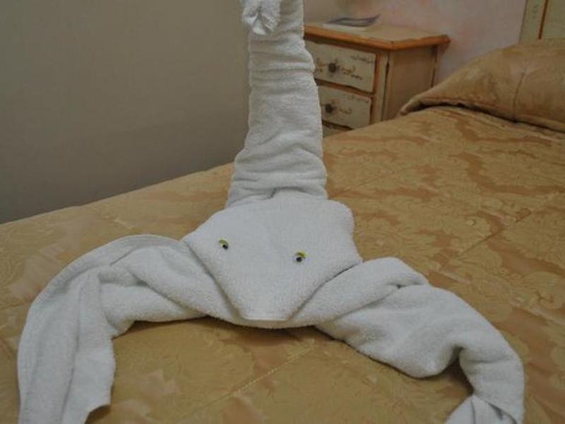 F6105C054BE5341291D5E3021D9994B5