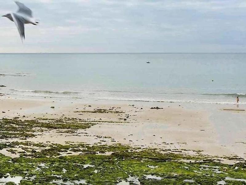 E7C4D964EC96D4181520E0A9BF977FF0