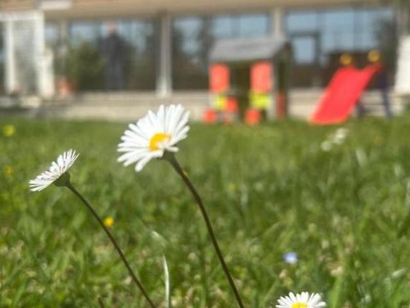 9566AC44AC7DC75C6057C86BACE0A002