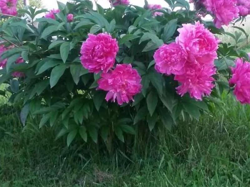 B57010DAF2E77B306DC40EFFAB6FBD7C