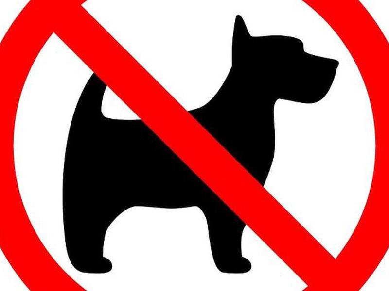 85888BB406031D815FAAF814F2C9CC8C