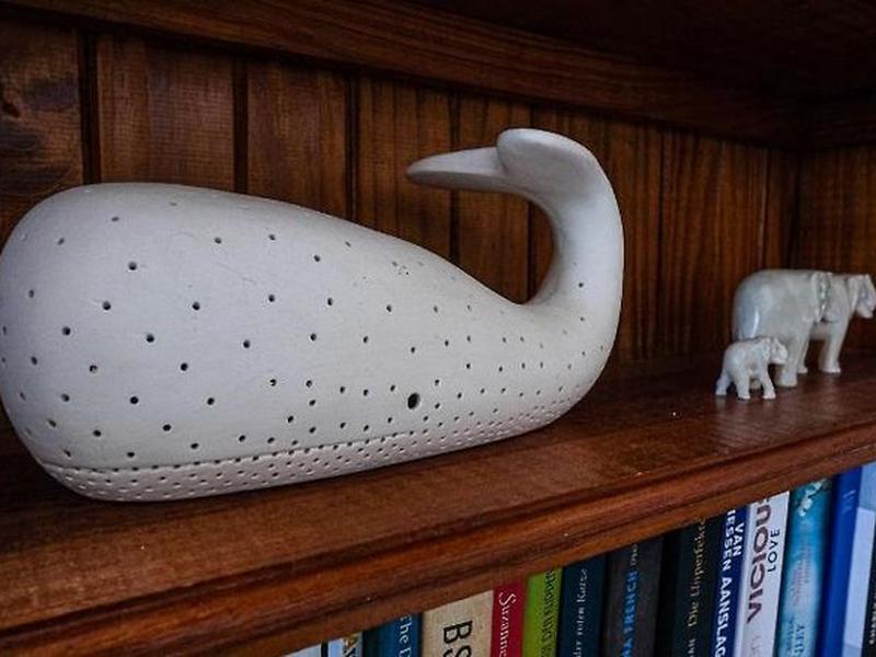 E5CABF845A23BEC91A58E1F4F67E63F0