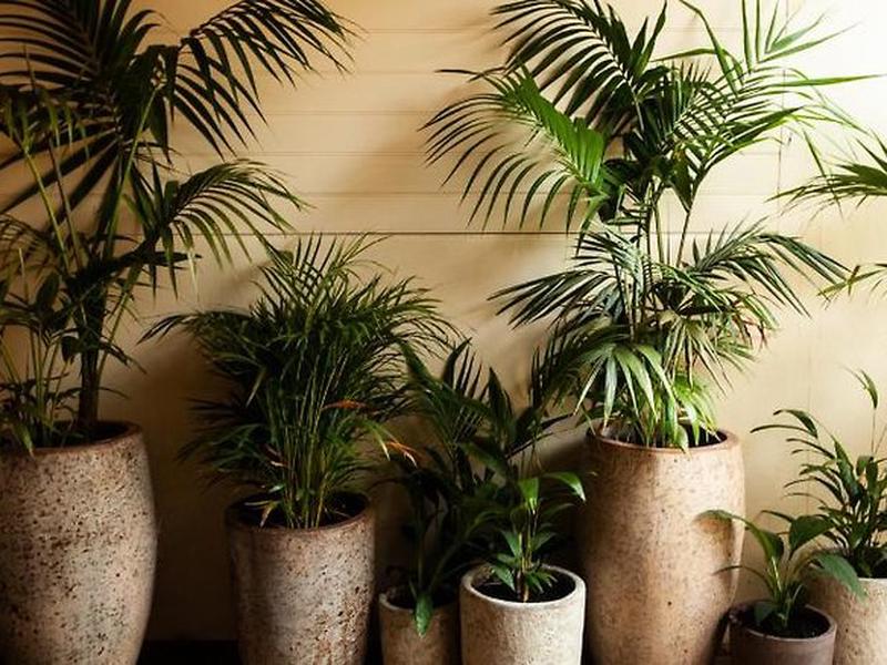 694B8BE0FA96D43579770855BC7E8EDB