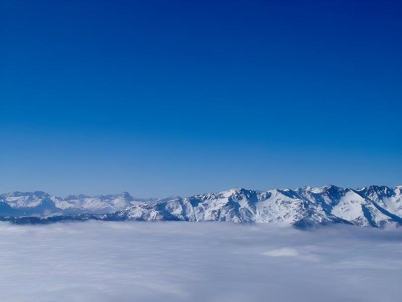 8D1768145210E2BD51CB64B494182CDC