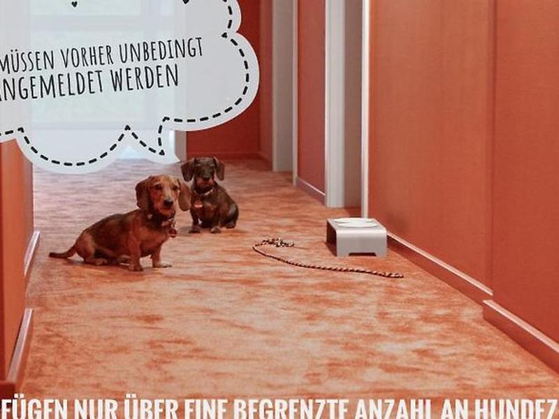 20DDC17CC61ED61556B92AFECBB98020