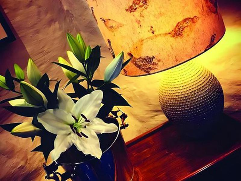 F0C733E5206543640281FA6F6A20A354